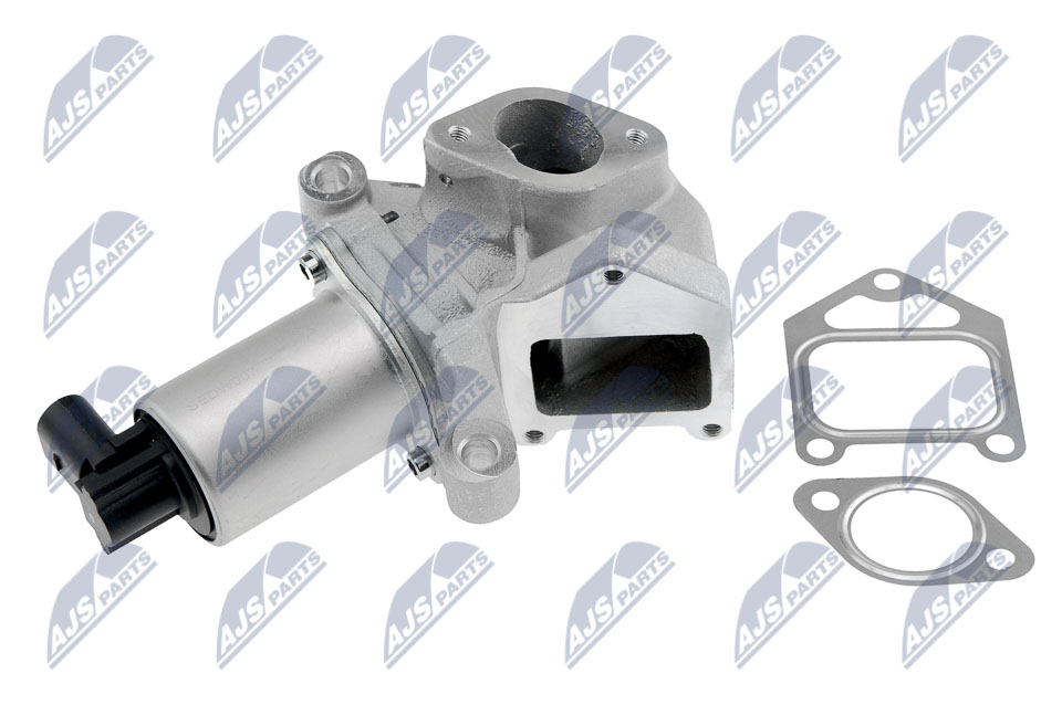 NTY EGR-DW-007 Βαλβίδα AGR
