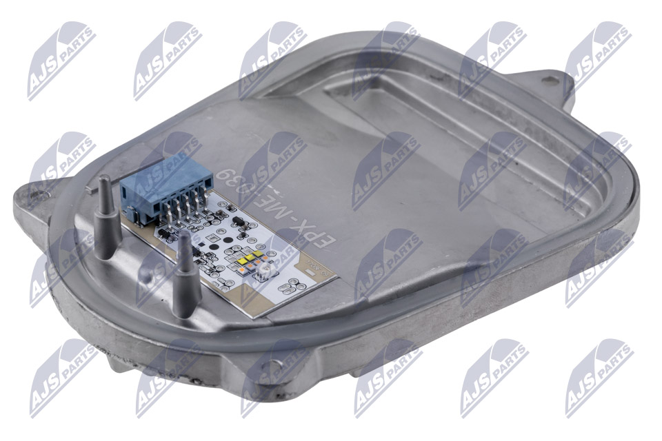 NTY EPX-ME-039 Εγκέφαλος,...