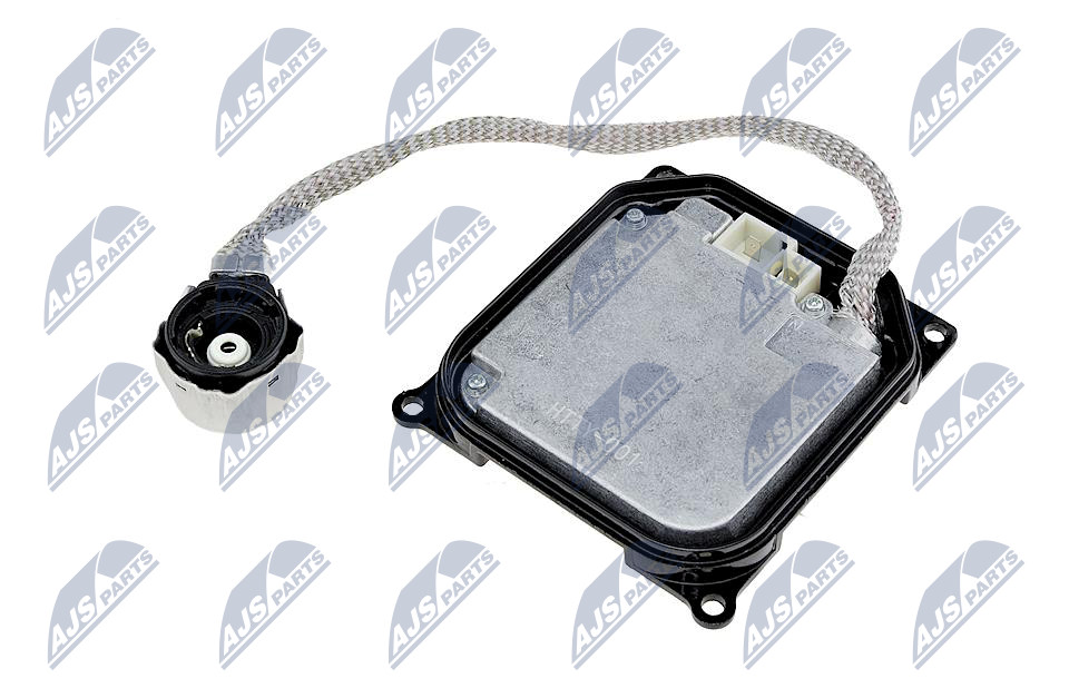 NTY EPX-TY-001 Εγκέφαλος,...