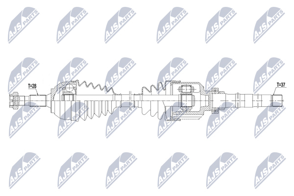 NTY NPW-PE-053 Albero...