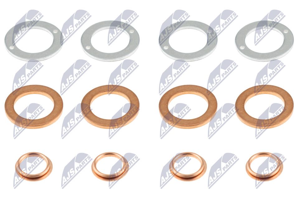 Seal Ring, injector