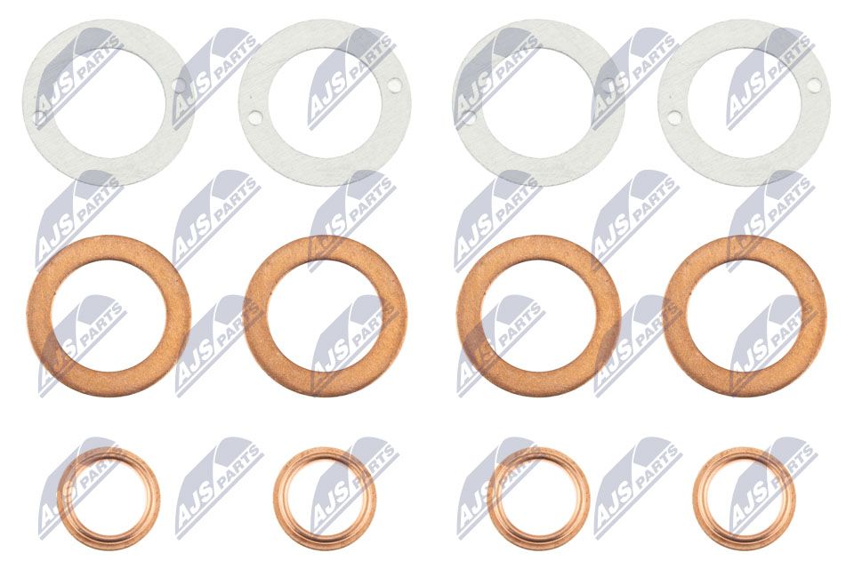 NTY BWP-MS-001 Seal Ring, injector