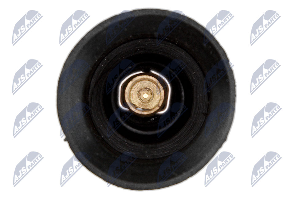 NTY ECZ-BM-002A Stecker, Zündspule