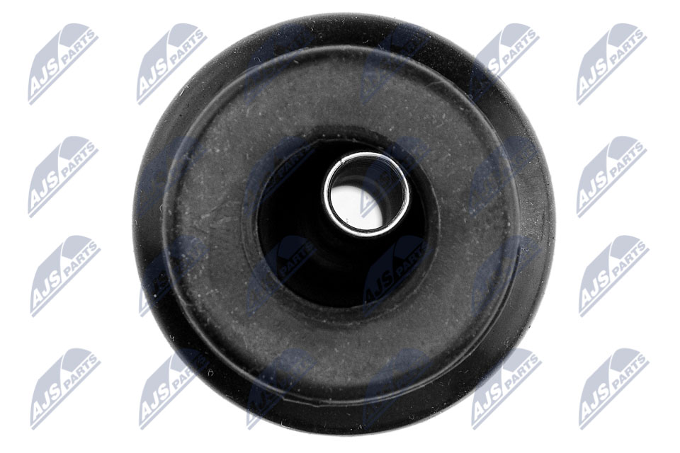 NTY ECZ-CT-005A Stecker, Zündspule