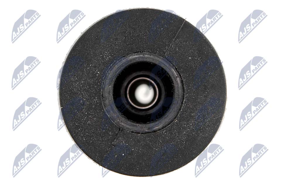 NTY ECZ-PL-005A Stecker, Zündspule