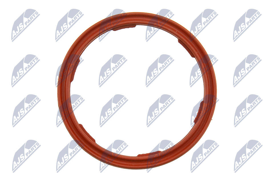 NTY EPO-BM-010 Dichtring, Motorölstandsensor