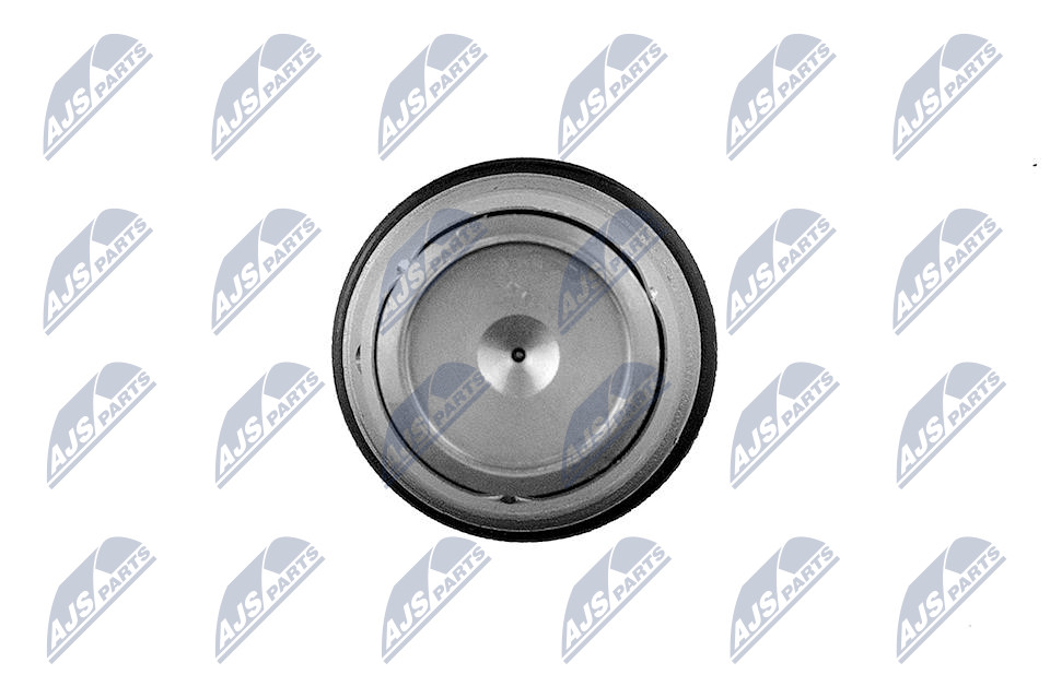 NTY ESCV-RE-000 Druckbegrenzungsventil, Common-Rail-System