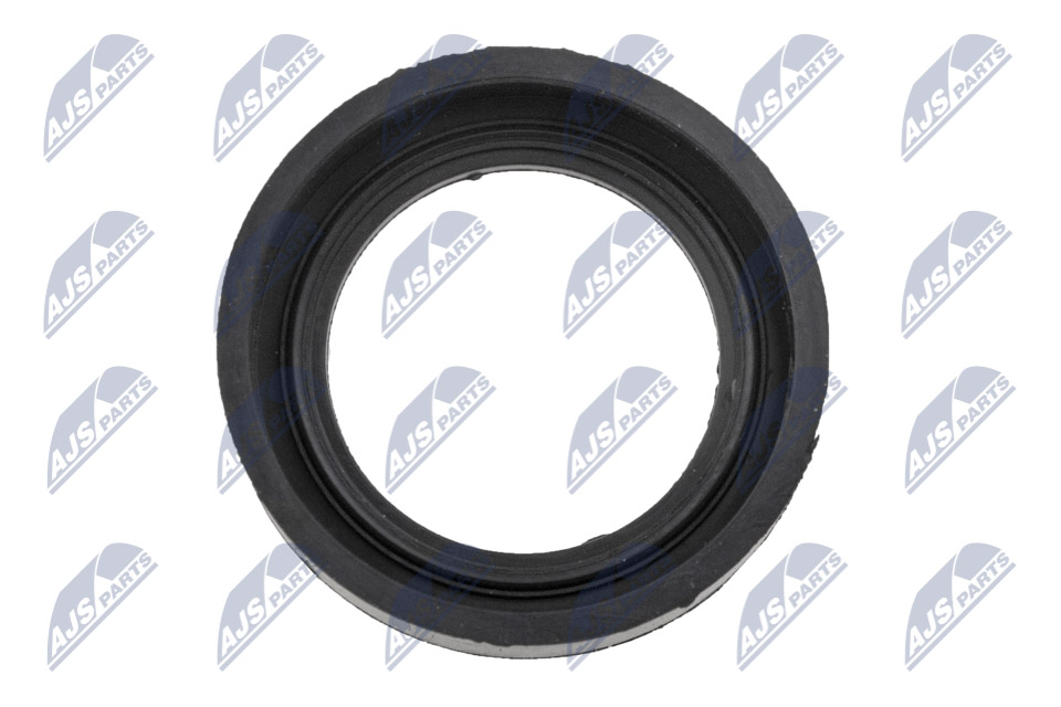 NTY EUS-SU-001 Dichtring, Kerzenschacht