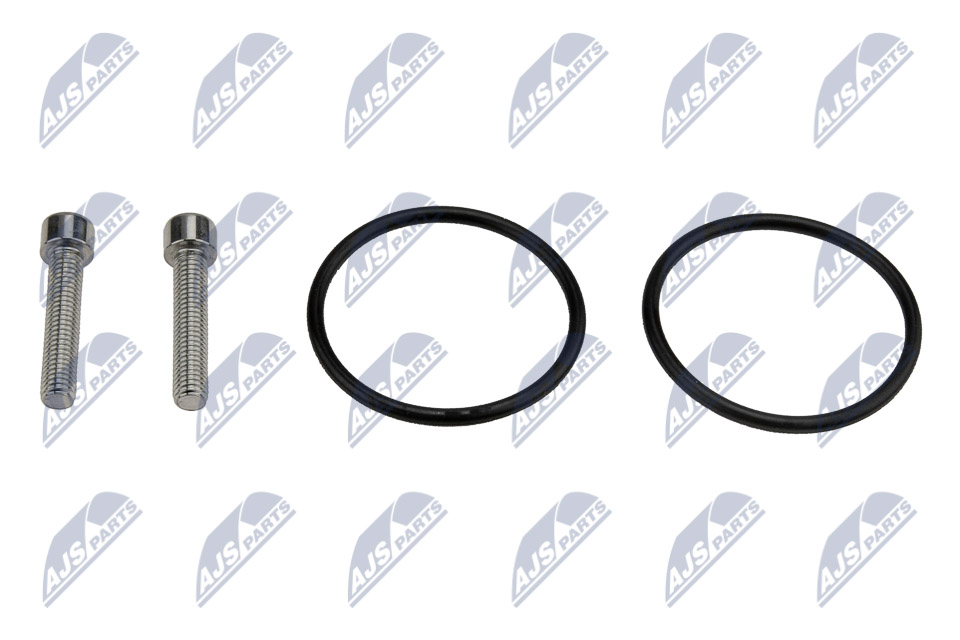 NTY EZC-AU-115 Reparatursatz, Lamellenkupplungspumpe (Allradantrieb)