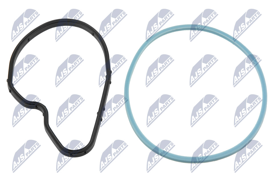 NTY PVP-PL-000 Dichtring, Düsenhalter