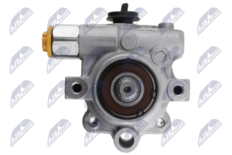 NTY SPW-NS-019 Hydraulikpumpe, Lenkung