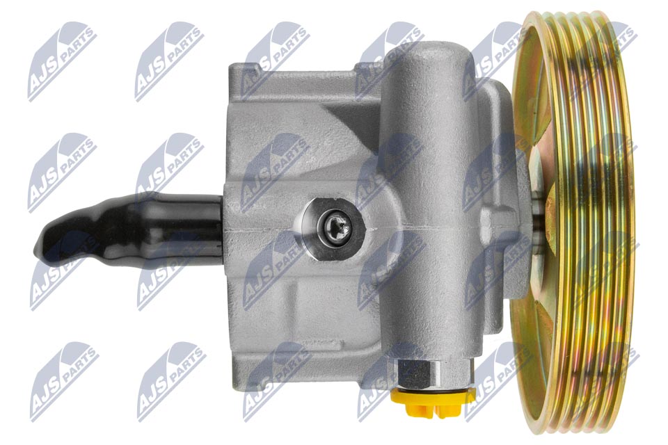 NTY SPW-RE-012 Hydraulikpumpe, Lenkung