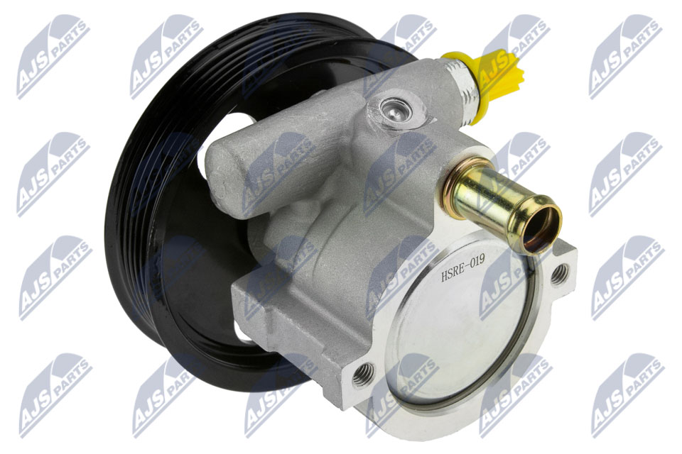 NTY SPW-RE-019 Hydraulikpumpe, Lenkung