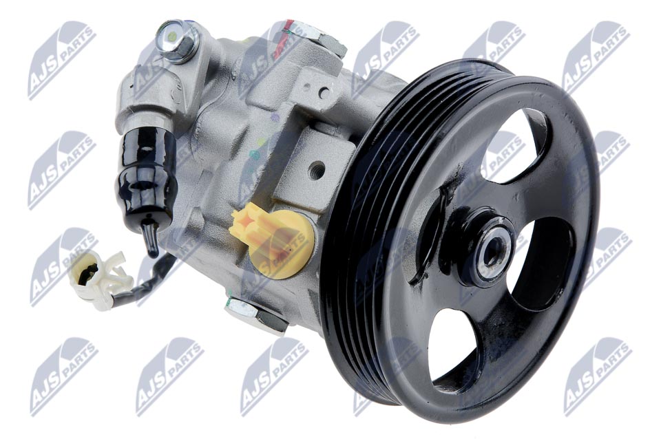 NTY SPW-SB-008 Hydraulikpumpe, Lenkung