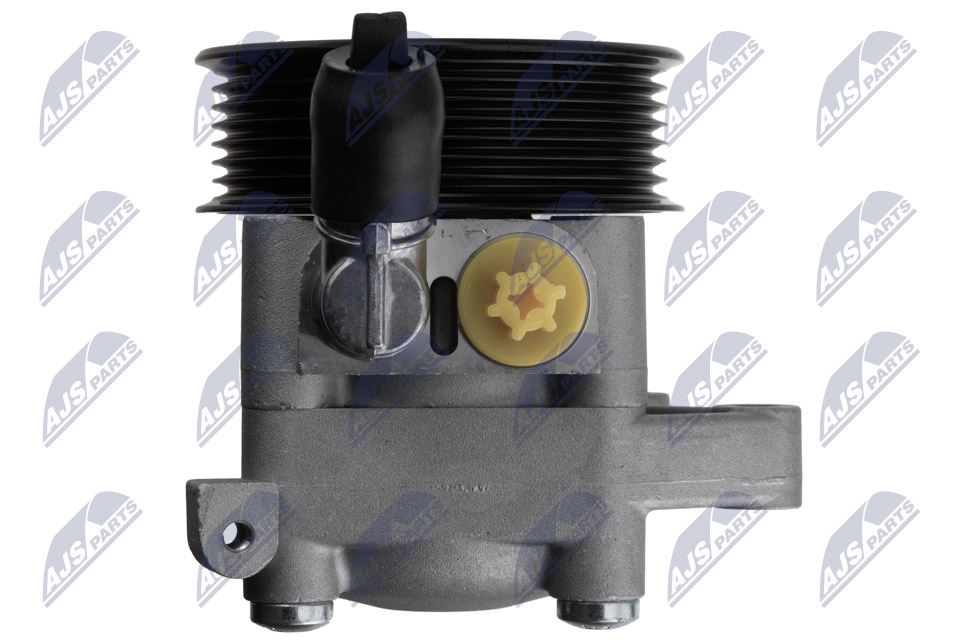 NTY SPW-VC-005 Hydraulikpumpe, Lenkung
