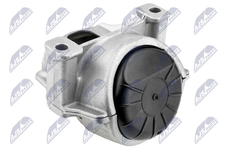 NTY ZPS-AU-053 Lagerung, Motor