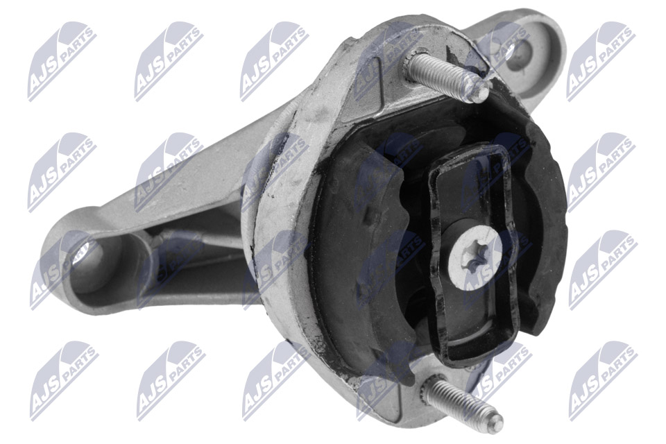 NTY ZPS-AU-058 Lagerung, Motor