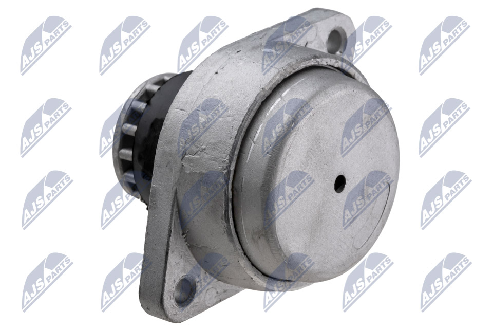 NTY ZPS-AU-060 Lagerung, Motor