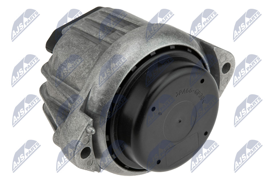 NTY ZPS-BM-006 Lagerung, Motor