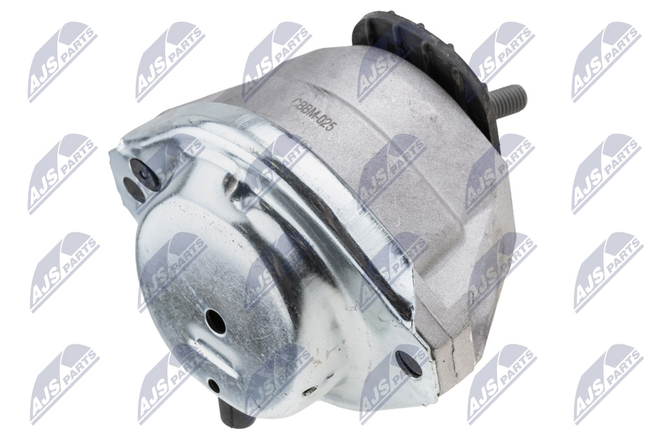 NTY ZPS-BM-025 Lagerung, Motor