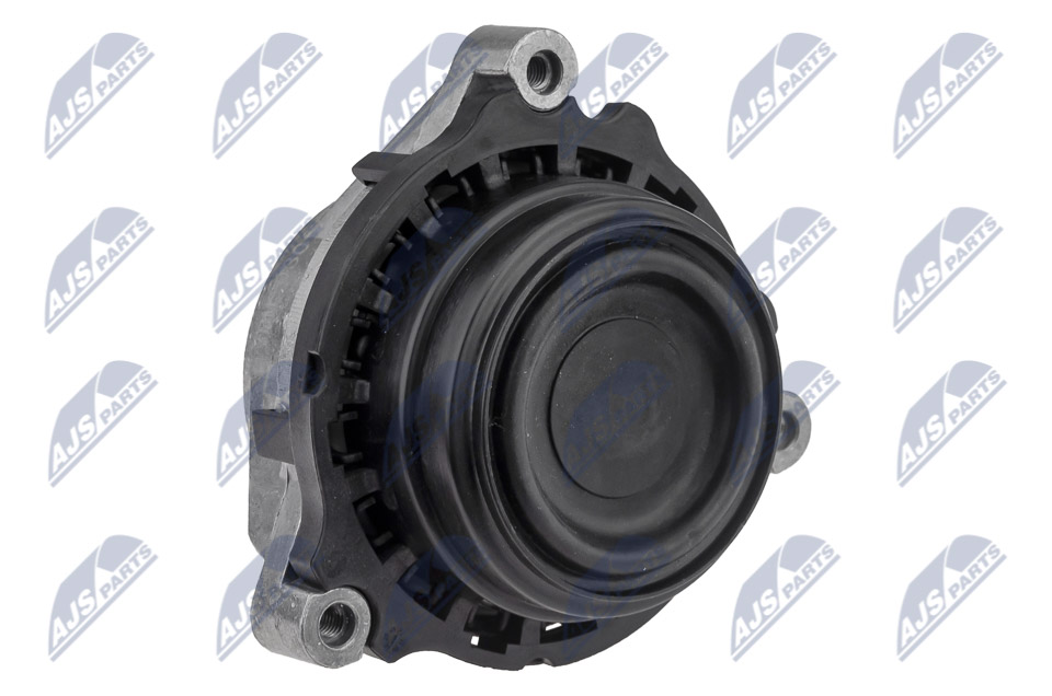 NTY ZPS-BM-030 Lagerung, Motor