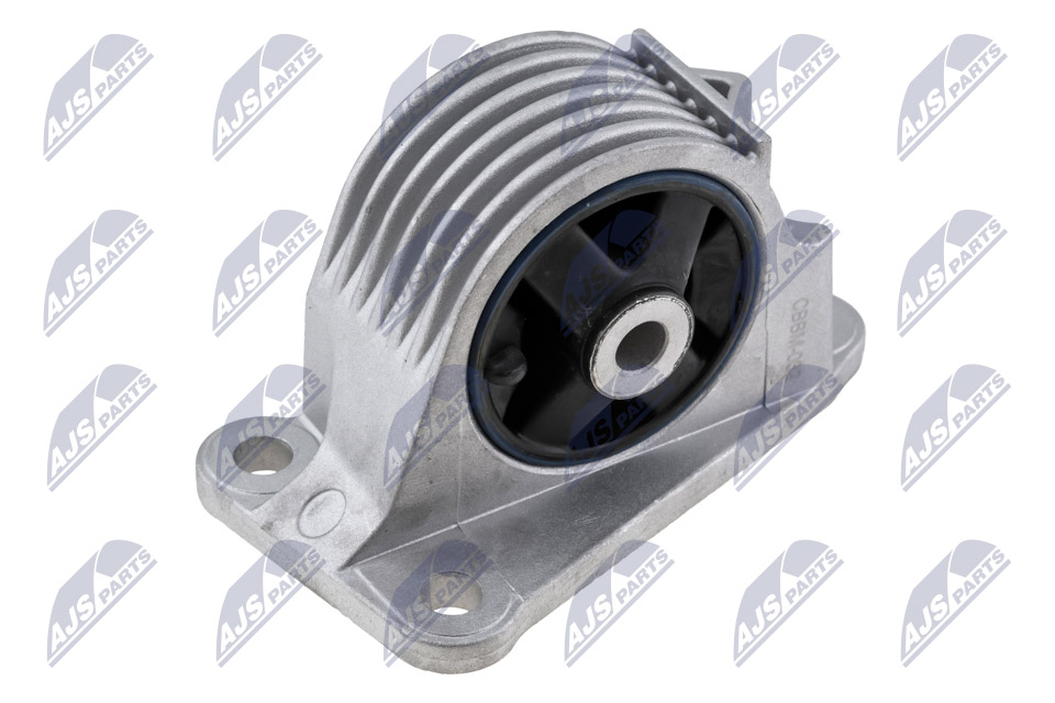 NTY ZPS-BM-032 Lagerung, Motor