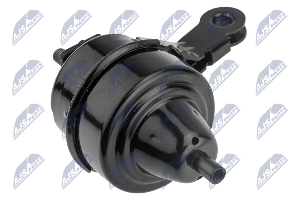 NTY ZPS-BM-034 Lagerung, Motor