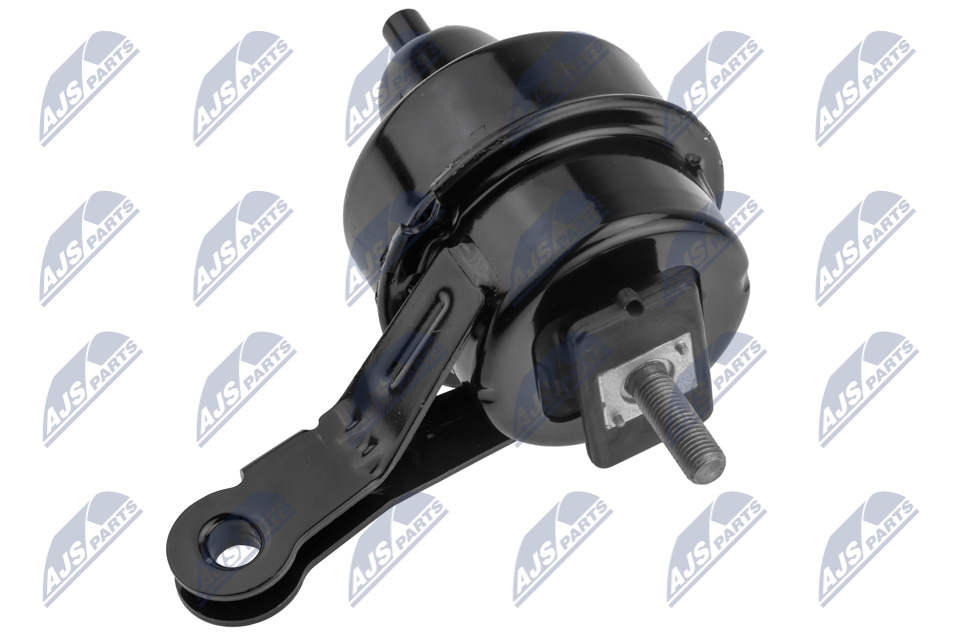 NTY ZPS-BM-034 Lagerung, Motor