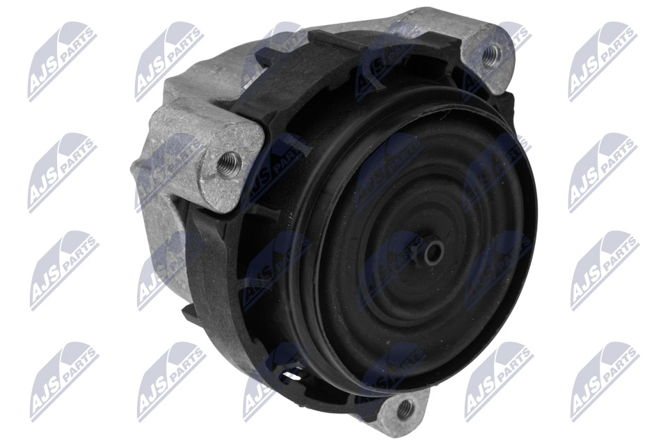 NTY ZPS-BM-050 Lagerung, Motor