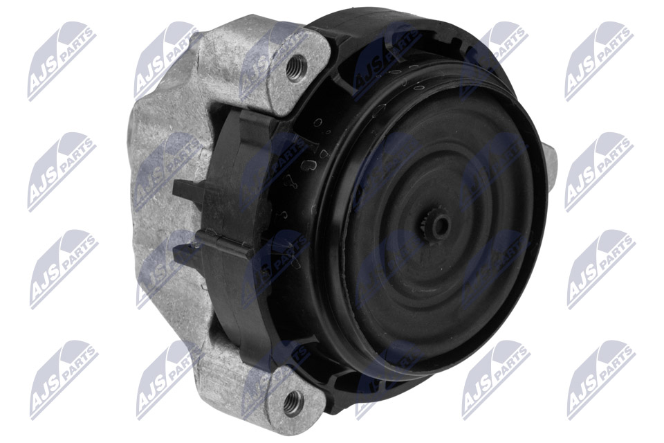NTY ZPS-BM-051 Lagerung, Motor