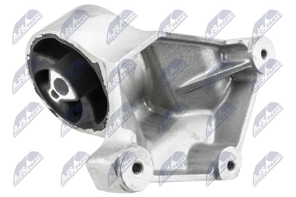 NTY ZPS-CH-079 Lagerung, Motor