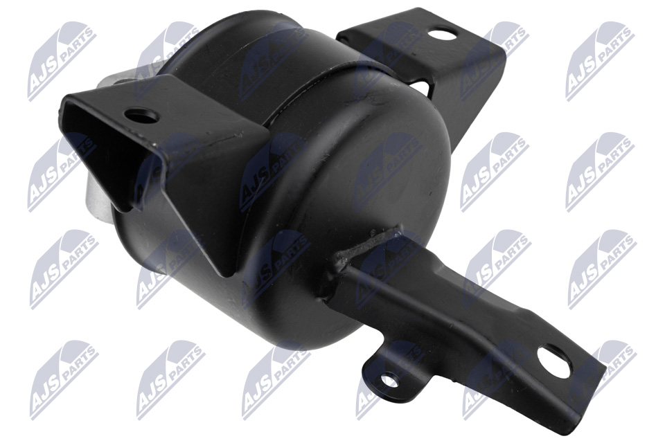 NTY ZPS-DW-010 Lagerung, Motor