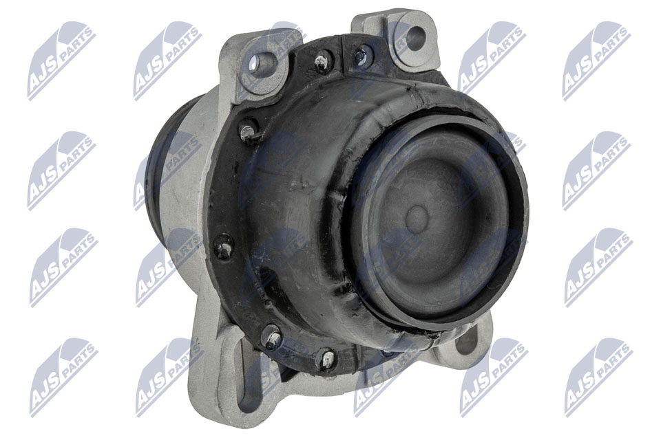 NTY ZPS-FR-013 Lagerung, Motor