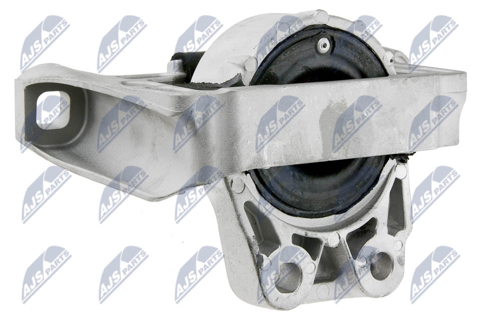 NTY ZPS-FR-020 Lagerung, Motor