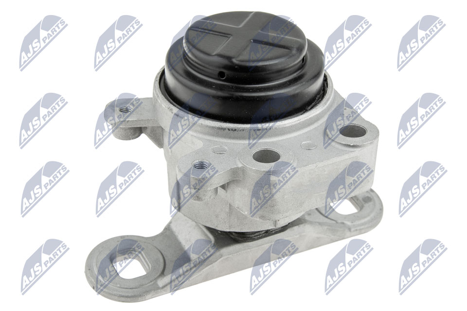 NTY ZPS-FR-044 Mounting, engine