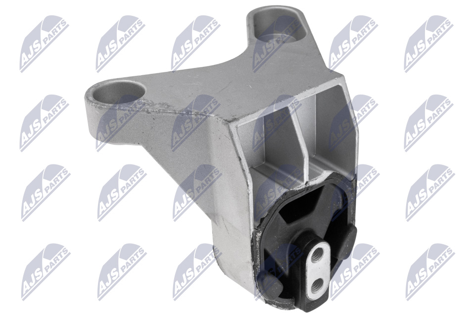 NTY ZPS-FR-060 Lagerung, Motor