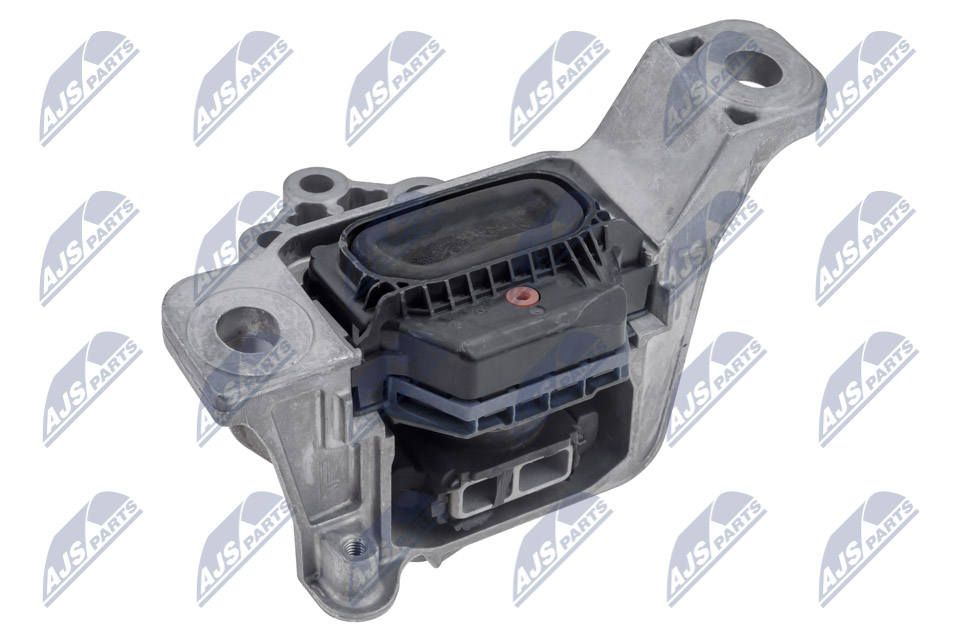 NTY ZPS-FR-068 Lagerung, Motor
