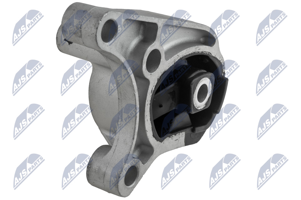 NTY ZPS-FR-070 Lagerung, Motor