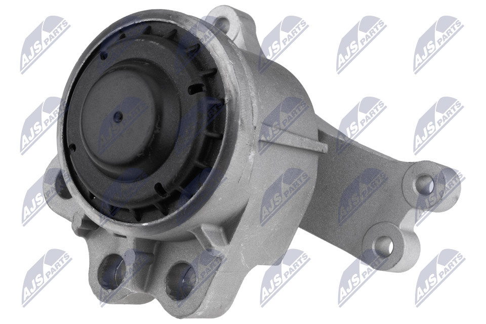 NTY ZPS-FR-080 Lagerung, Motor