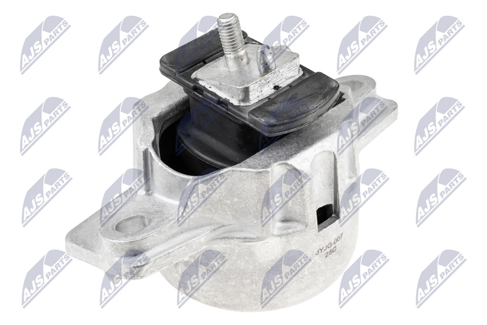 NTY ZPS-JG-007 Lagerung, Motor