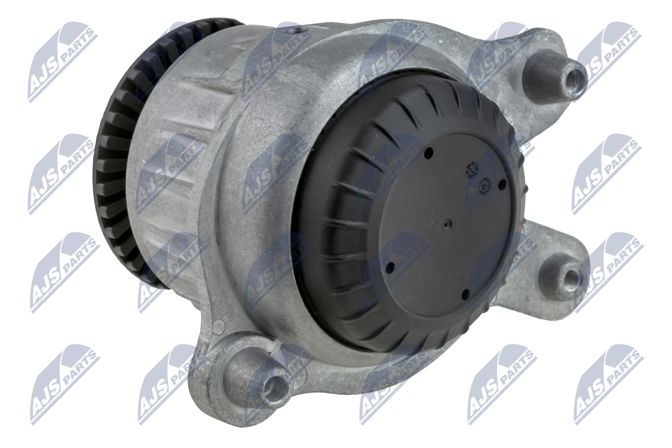 NTY ZPS-ME-030 Lagerung, Motor