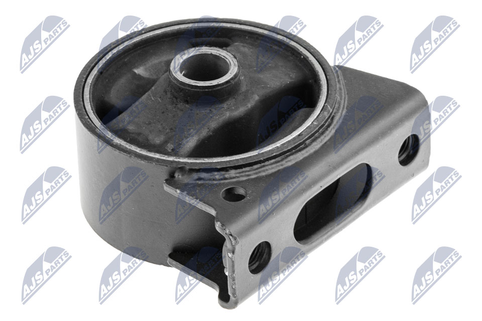 NTY ZPS-MS-008 Lagerung, Motor