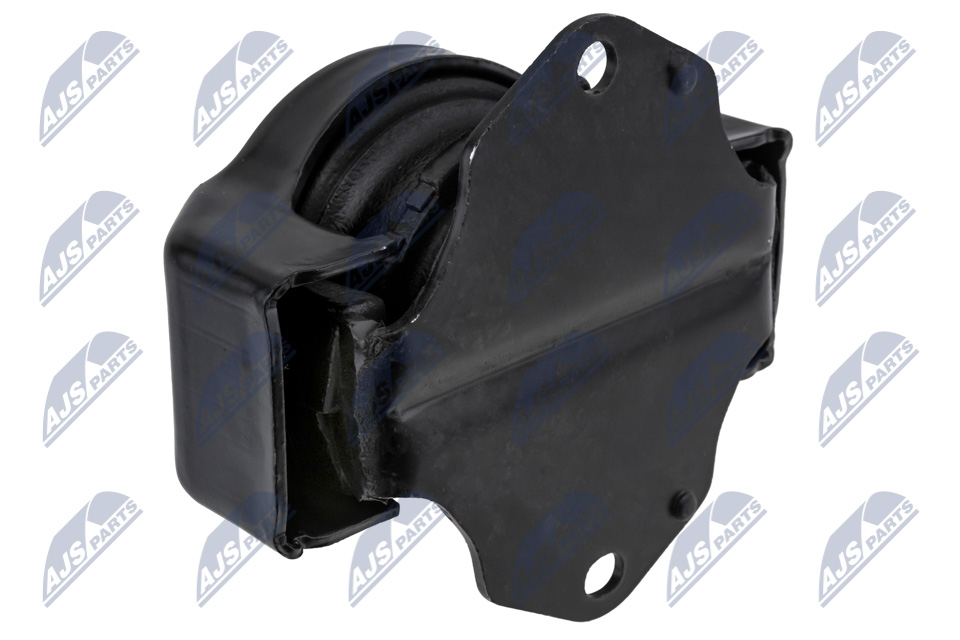 NTY ZPS-MS-011 Lagerung, Motor