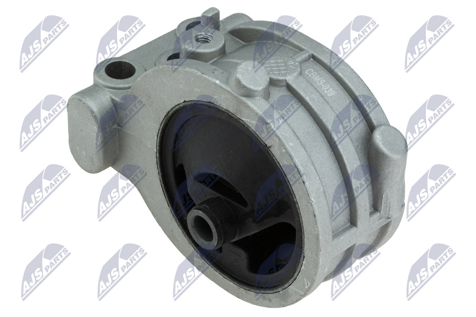 NTY ZPS-MS-039 Lagerung, Motor