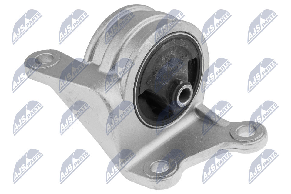 NTY ZPS-MS-044 Lagerung, Motor