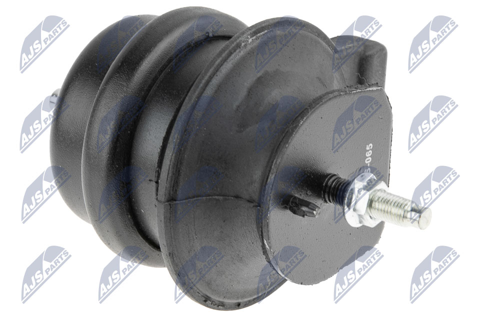 NTY ZPS-NS-065 Lagerung, Motor