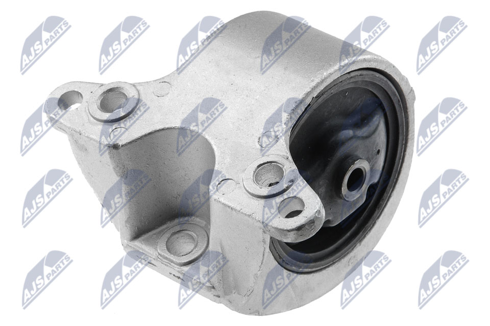 NTY ZPS-NS-081 Lagerung, Motor