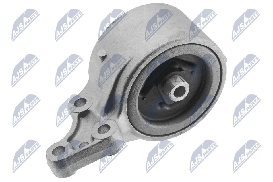 NTY ZPS-NS-093 Lagerung, Motor
