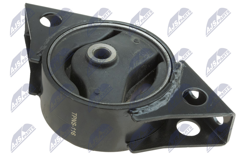 NTY ZPS-NS-116 Lagerung, Motor