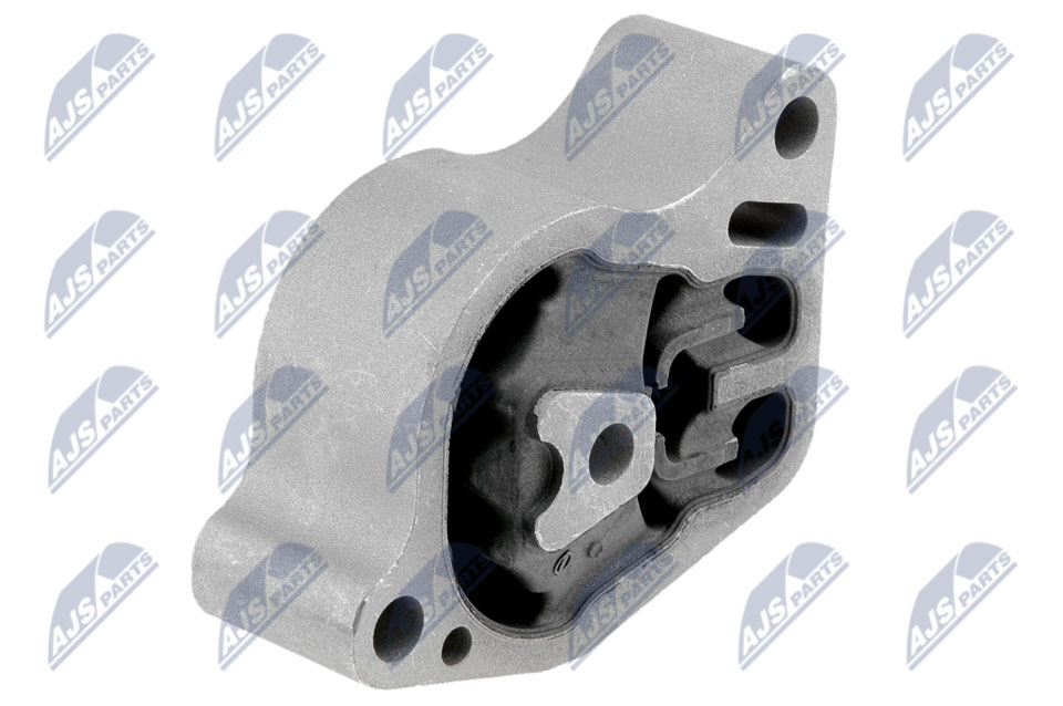 NTY ZPS-NS-168 Lagerung, Motor